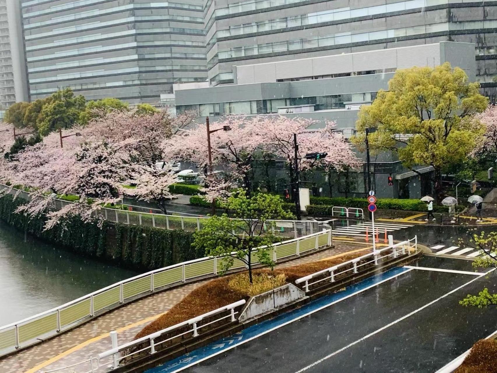 品川東五反田駅徒歩5分の最上階バルコニー付き贅沢体験 Διαμέρισμα Τόκιο Εξωτερικό φωτογραφία